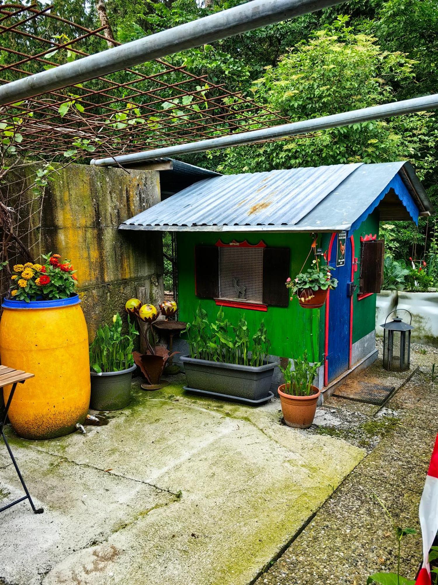 Voegelhof Apartment Doren Luaran gambar